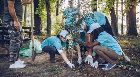group of volunteers planting a tree