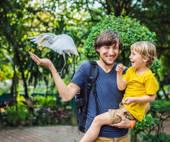 A parent with dark brown hair and a beard holds a child with blond hair in one arm and extends the other for a gray, crane-like bird to land on. The parent and child are smiling and laughing as they observe the bird.