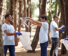 Employees from the same company volunteering in a public site clean up.