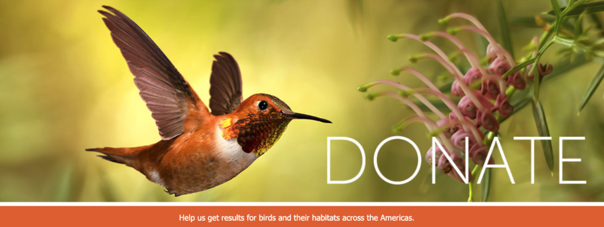 The image features a hummingbird in flight next to the word “Donate” in all capitals. Below the image there is a small red banner with the text: Help us get results for birds and their habitats across the Americas.