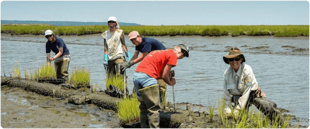U.S. Fish and Wildlife Service (USFWS) staff and volunteers at the National Elk Refuge, Wyoming