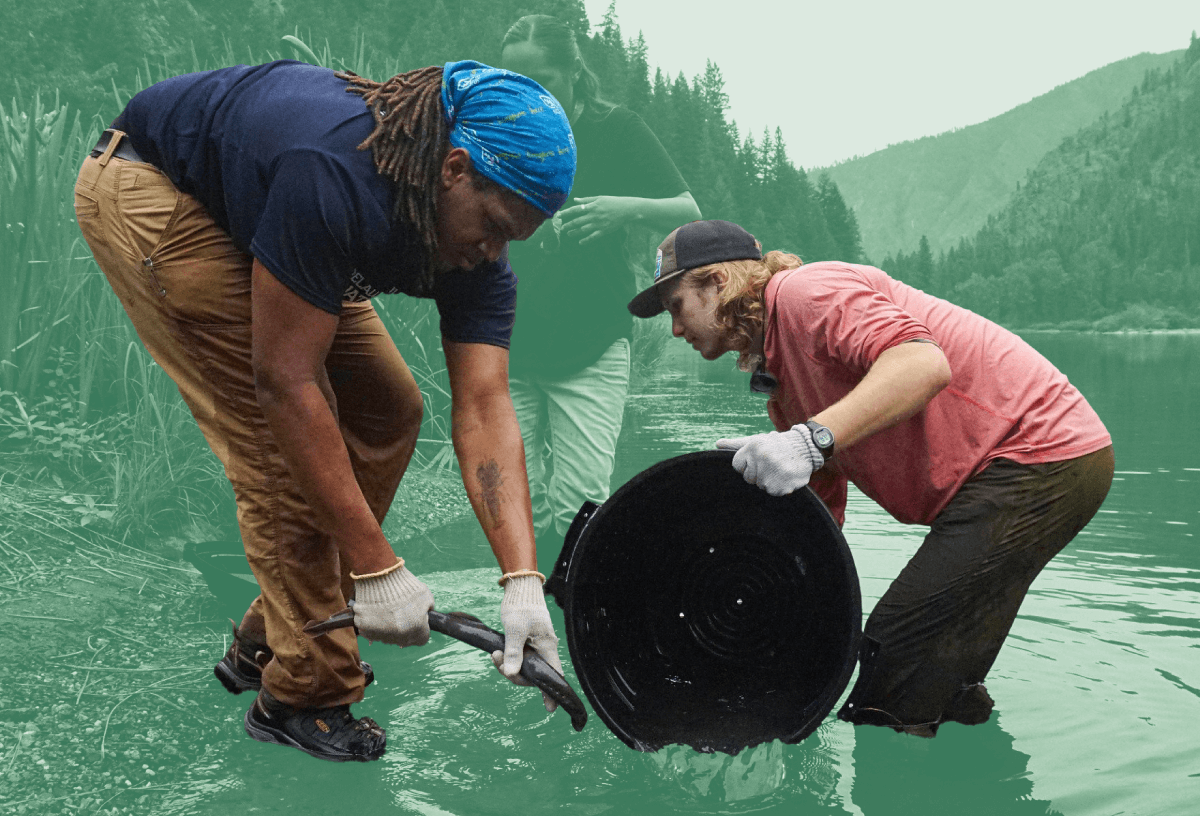 Two people working together in a river, one holding a net and the other pouring water from a large container, with forested mountains in the background.