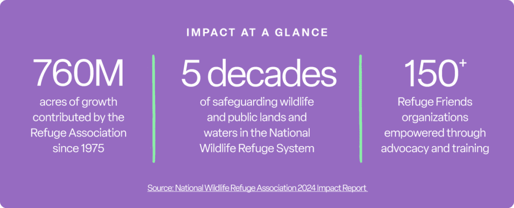 IMPACT AT A GLANCE
760M
acres of growth contributed by the Refuge Association since 1975
5 decades
of safeguarding wildlife and public lands and waters in the National Wildlife Refuge System
150+
Refuge Friends organizations empowered through advocacy and training
Source: National Wildlife Refuge Association 2024 Impact Report