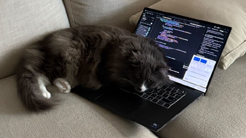 Cassandra’s cat lounges comfortably on her laptop while she codes.