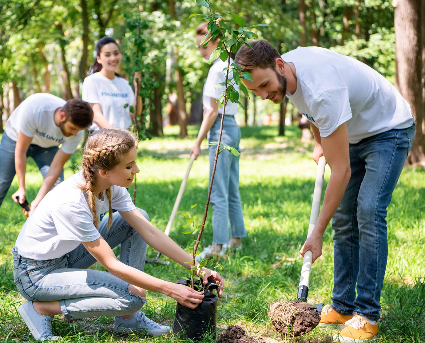A group of volunteers work together in a park to plant a young tree, using shovels and gardening tools.